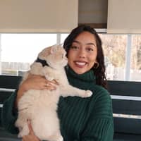 Sitter Profile Image: Aram A.