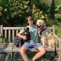 Sitter Profile Image: Gavin C.