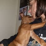 Sitter Profile Image: Julie L.