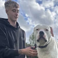 Sitter Profile Image: Dan H.