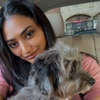 Sitter Profile Image: Sushmitha & Prashanth S.