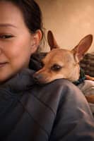 Sitter Profile Image: Hong L.