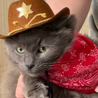 Sitter Profile Image: Genarina Z.