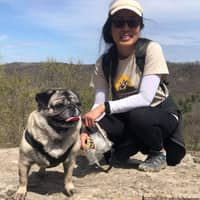 Sitter Profile Image: An D.