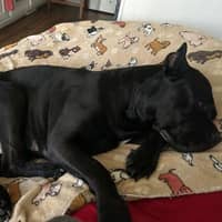 Sitter Profile Image: Omayra D.