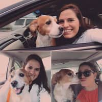 Sitter Profile Image: Vicky A.