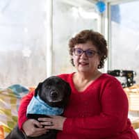 Sitter Profile Image: Carol C.