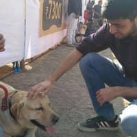 Sitter Profile Image: Vatsal P.