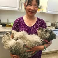 Best Dog Boarding In Concord Ca Rover Com