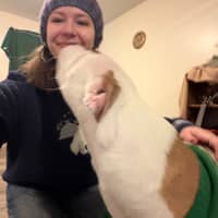 Sitter Profile Image: Hannah V.