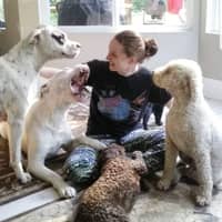 Sitter Profile Image: Karley T.