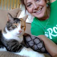 Best Pet Sitters In Banner Elk Nc Rover Com