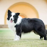 Sitter Profile Image: Stephanie B.