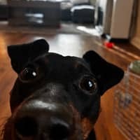 Sitter Profile Image: Noelia S.