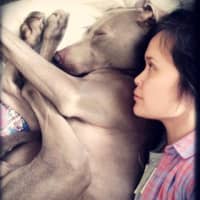 Sitter Profile Image: Melisa M.