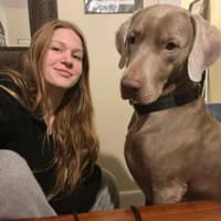 Sitter Profile Image: Vivian B.