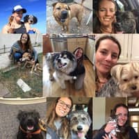 Sitter Profile Image: Maura S.