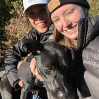 Sitter Profile Image: Sarah S.