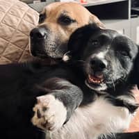 Sitter Profile Image: Lucky B.