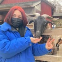 Sitter Profile Image: Lilian Kelly C.