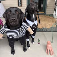 Sitter Profile Image: Colby M.