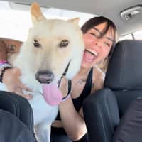 Sitter Profile Image: Andrea A.