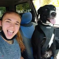 Foto del cuidador: Paula S.