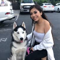 Sitter Profile Image: Megan & Joshua R.