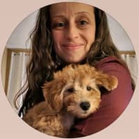 Sitter Profile Image: Nicole S.