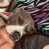 Sitter Profile Image: Lisa B.