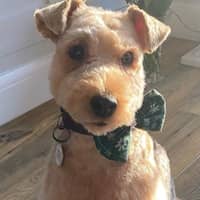 Sitter Profile Image: Julie B.