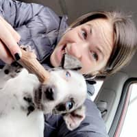 Sitter Profile Image: Allison F.