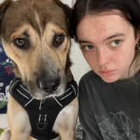 Sitterprofilbild: Kiera S.