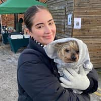 Sitter Profile Image: Dempsey S.