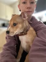 Sitter Profile Image: Stephanie D.