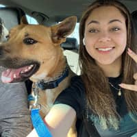 Sitter Profile Image: April L.