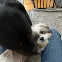 Sitter Profile Image: Chris & Tommie N.