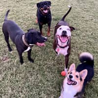 Sitter Profile Image: Chris & Tommie N.