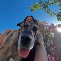 Sitter Profile Image: Liliana E.