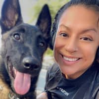 Sitter Profile Image: Brenda J.