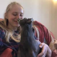 Sitter Profile Image: Olivia B.