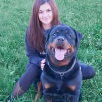 Sitterprofilbild: Ekaterina B.