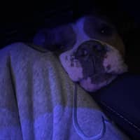 Sitter Profile Image: Kylie M.