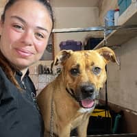 Photo de profil du pet sitter : Estelle P.