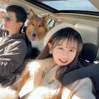 Sitterprofilbild: ziqi x.