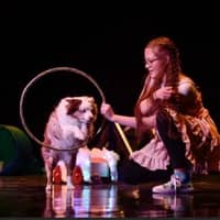 Sitter Profile Image: McKennah D.