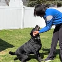 Sitter Profile Image: Alena & Regina G.