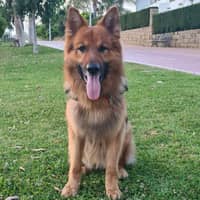 Foto del cuidador: Álvaro N.