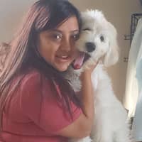 Sitter Profile Image: Satrishna L.