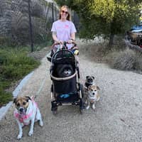 Sitter Profile Image: Bailey H.